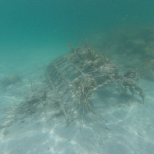 GOPR5849