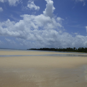 P1020082