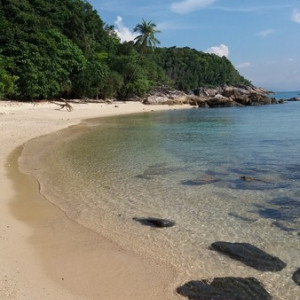 Malay023