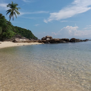 Malay024
