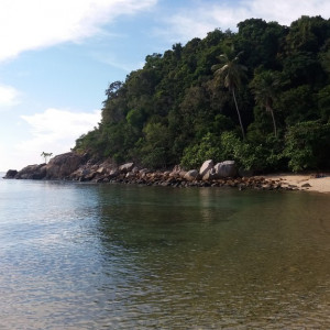Malay025