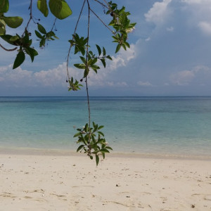 Malay028