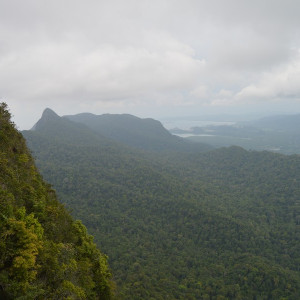 Malay040
