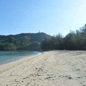Malay049