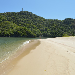 Malay050