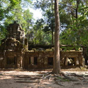 Malay077