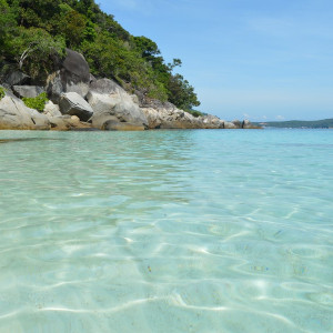 Malay087