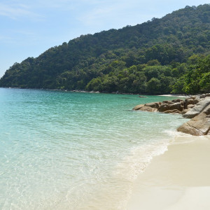 Malay088
