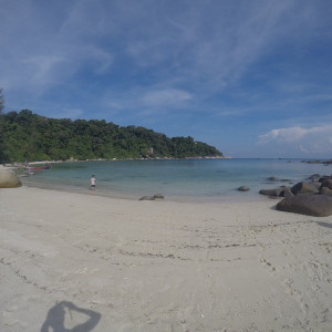 Malay115