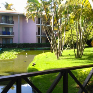 14285536_10207093178187422_582724422_o