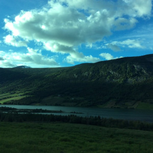 IMG-0595