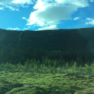 IMG-0606