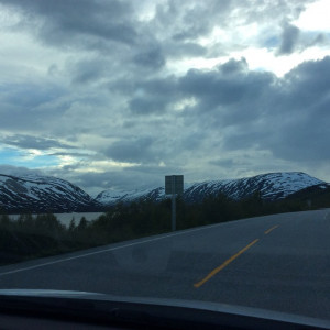 IMG-0619