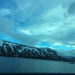 IMG-0637