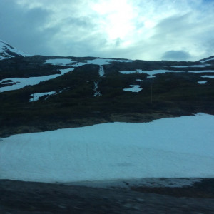 IMG-0657