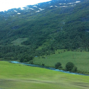 IMG-0715
