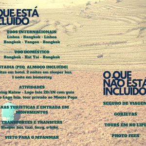 8. Incluido-naoincluido