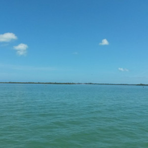 20170627_104618