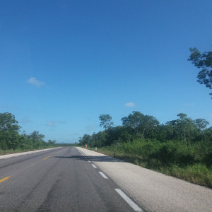 20170627_085429