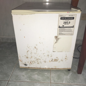 Frigo Imundo