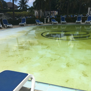 Piscina Para Crianças Com Fungos
