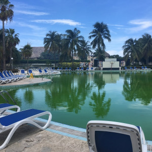 Piscina Verde (cheia Fungos)