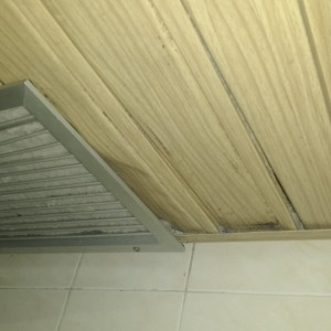 Teto WC