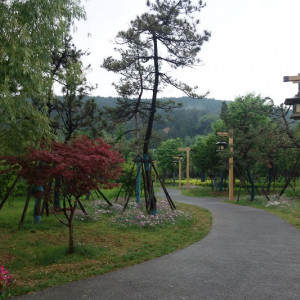 Luoyang 5