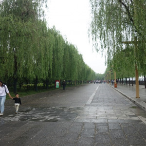 Luoyang 7