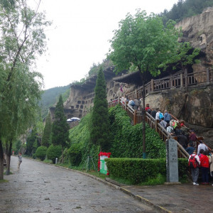 Luoyang 8