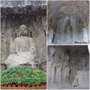 Luoyang 11