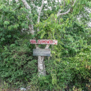 DSCF1968 (Cópia)