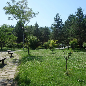 Xian 20