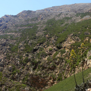Caminho para o Farol e Forte