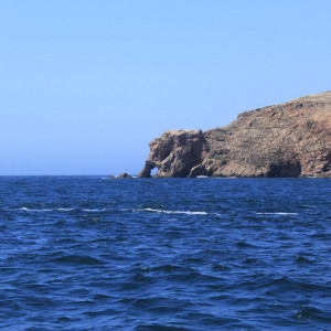 "Tromba de Elefante"