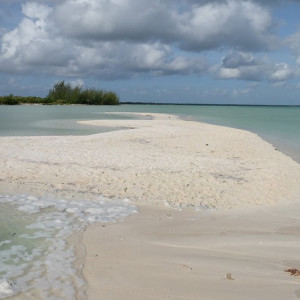 DSCF2745 (Copiar)