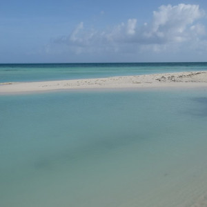 DSCF2709 (Copiar)