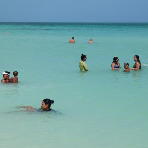 DSCF2718 (Copiar)