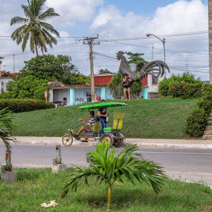 DSCF2527 (Copiar)