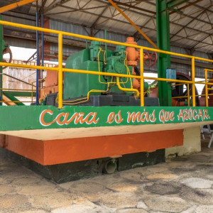 DSCF2598 (Copiar)