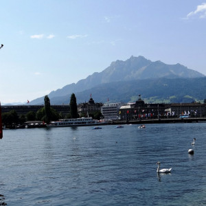 Lucerne