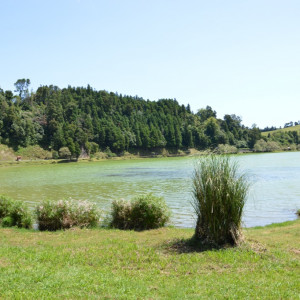 Lagoa Das Furnas