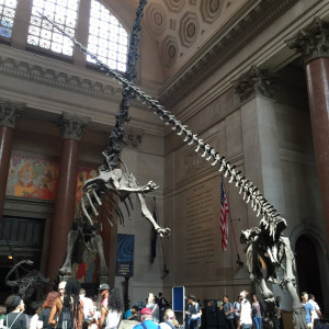 Museu de História Natural