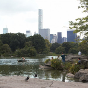 Central PArk