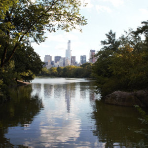 Central Park