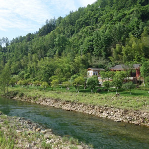 Zhangjiajie 15