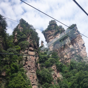 Parque 5