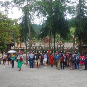 Parque 20