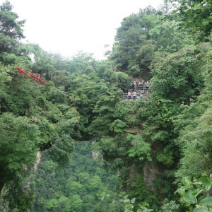 Parque 26