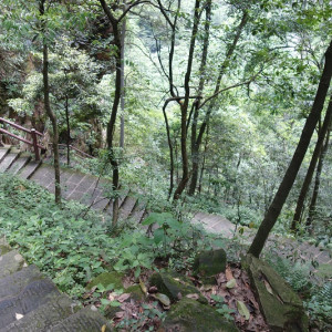 Parque 35